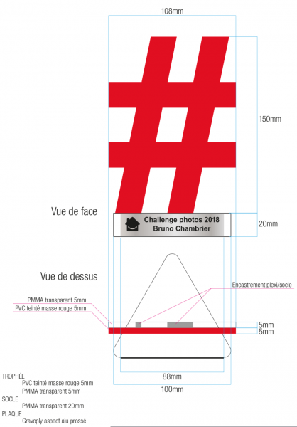 Trophée sur mesure à Lyon
